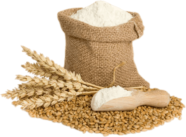 Pulses / Cereals / Grains